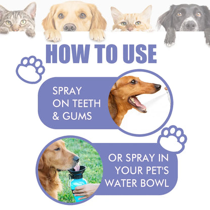 Yoopulse™ 🍃No-Brushing Oral Care Spray for Dogs & Cats