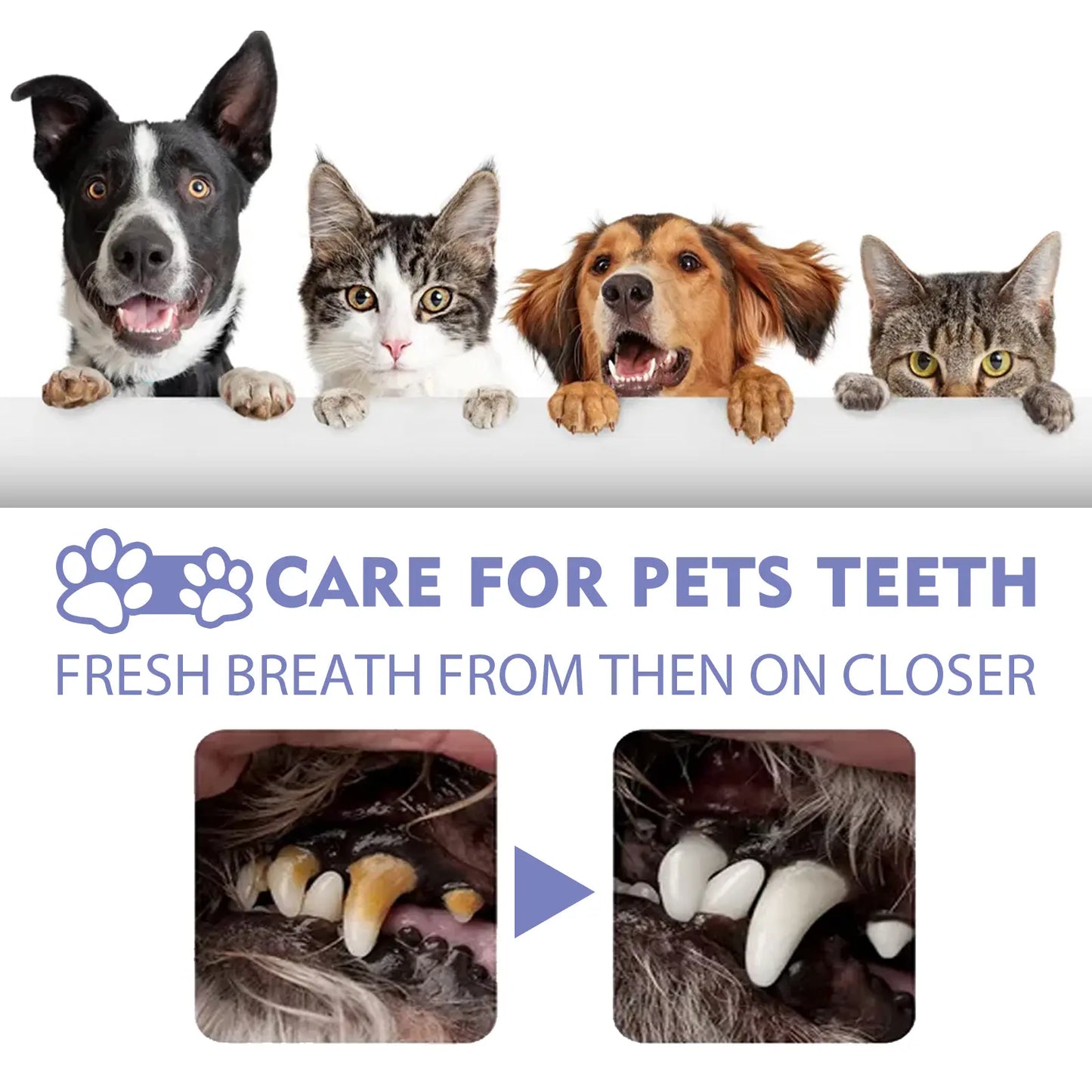 Yoopulse™ 🍃No-Brushing Oral Care Spray for Dogs & Cats