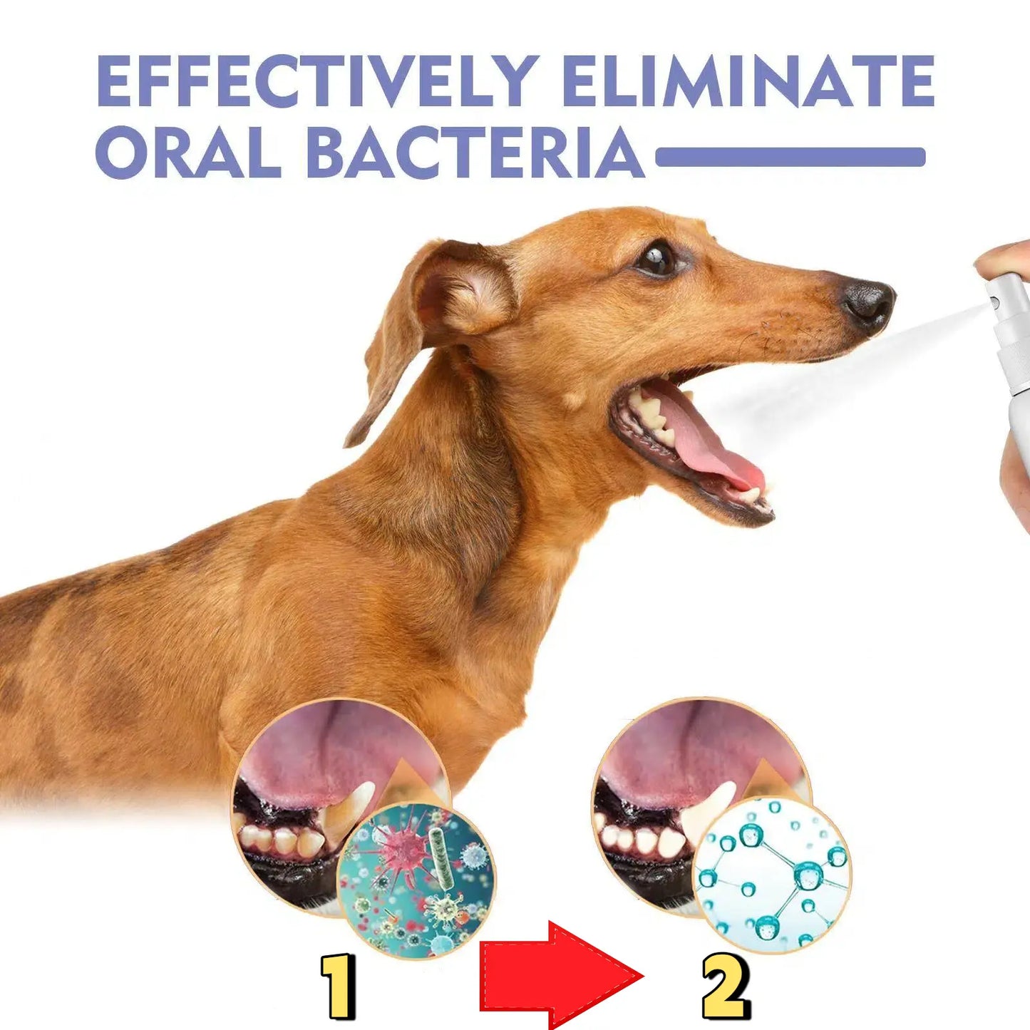 Yoopulse™ 🍃No-Brushing Oral Care Spray for Dogs & Cats