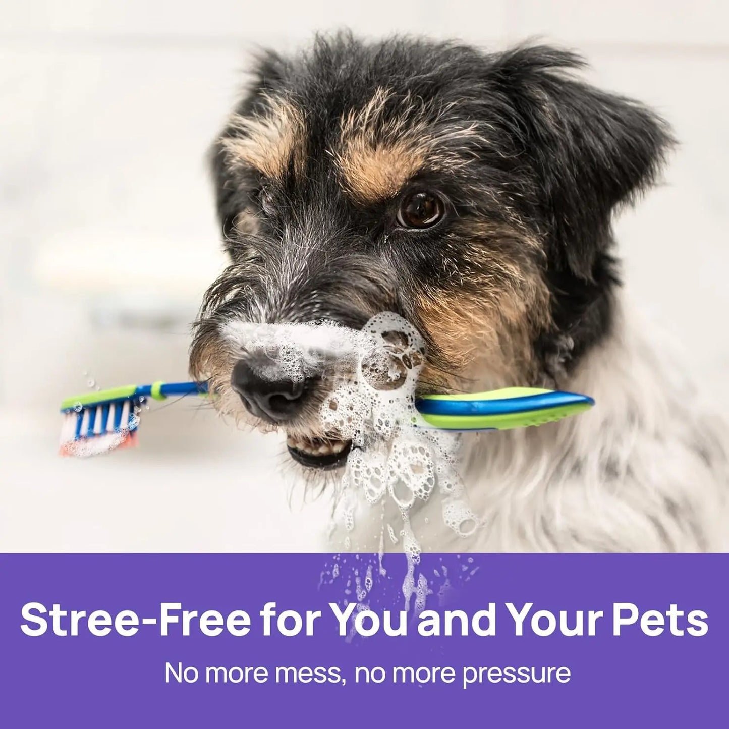 Yoopulse™ 🍃No-Brushing Oral Care Spray for Dogs & Cats